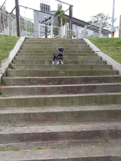 20160503_111616.jpg