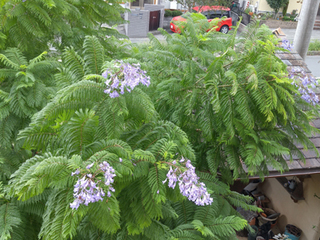 20160930_082045_HDR.jpg