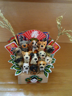 20161124_151533_HDR.jpg