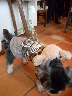 DSCN5032.JPG